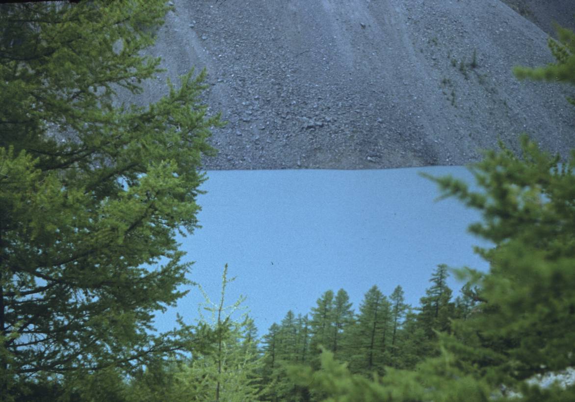 286.JPG