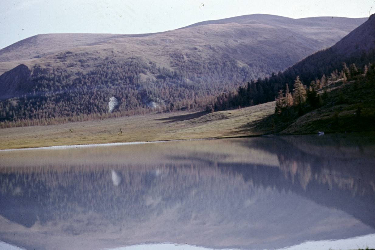368.JPG