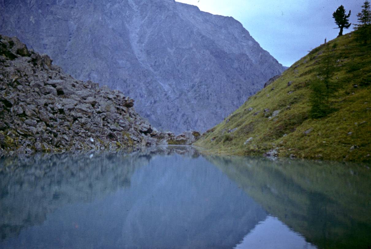 415.JPG