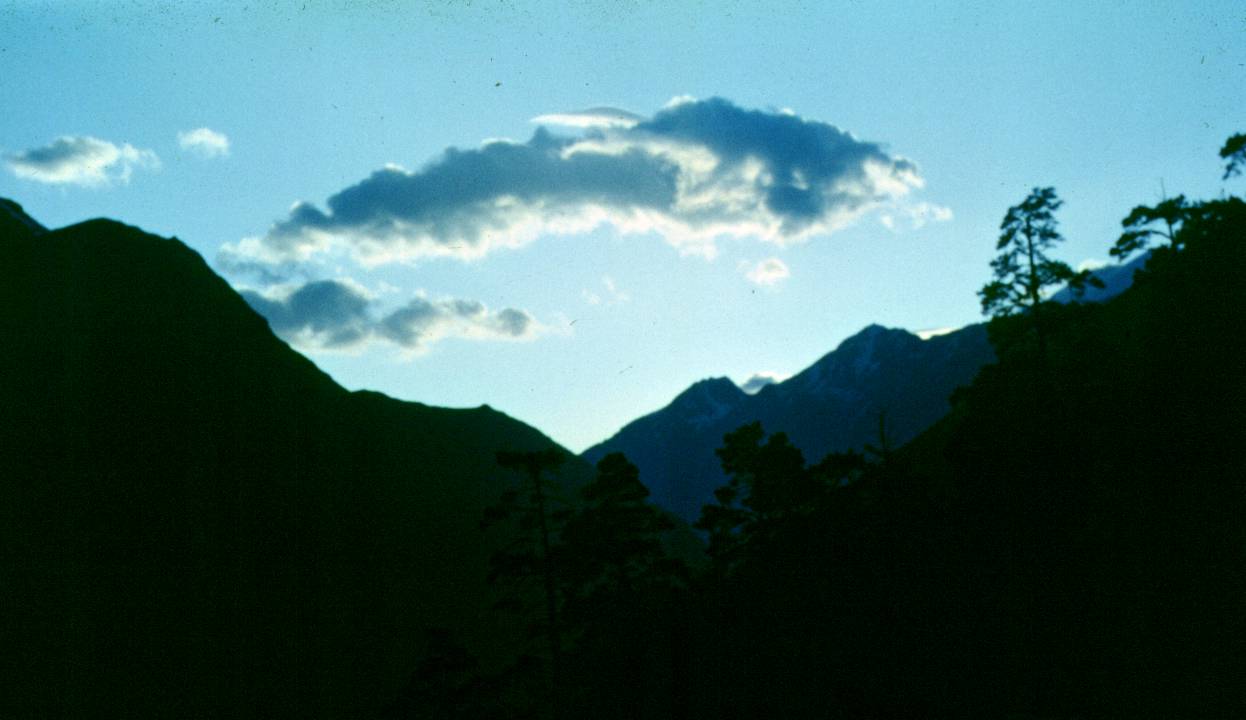 035.JPG