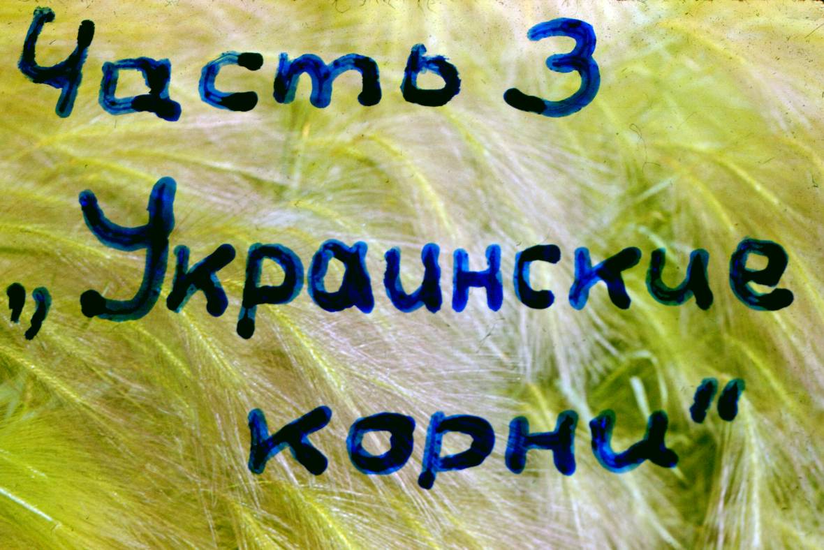 175.JPG