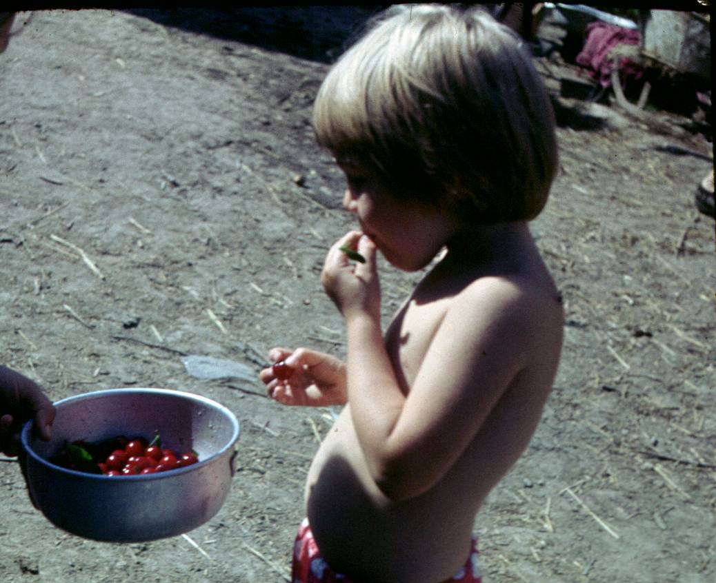 253.JPG