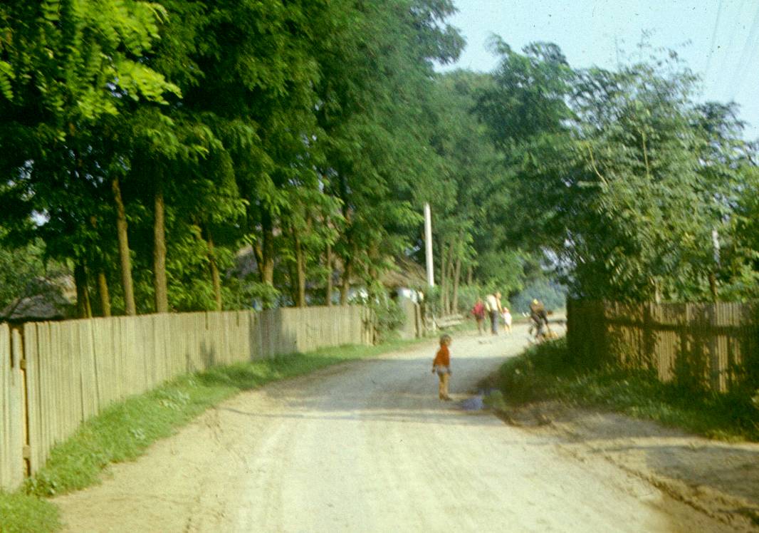 256.JPG