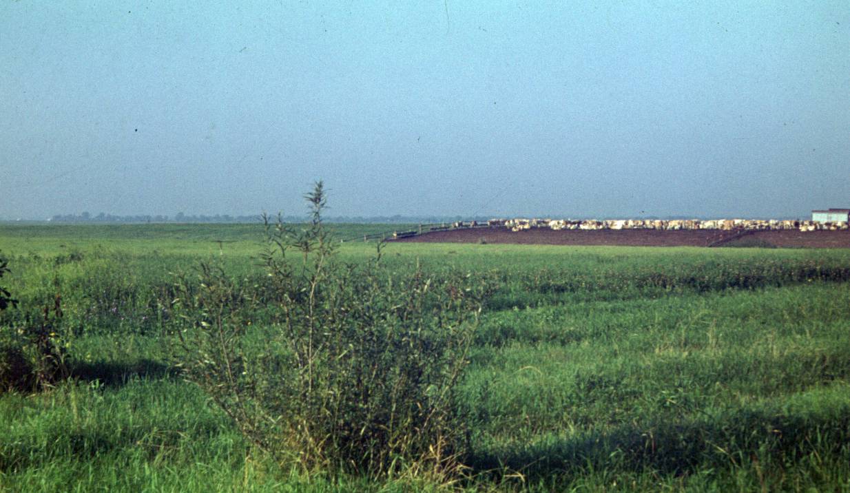 280.JPG