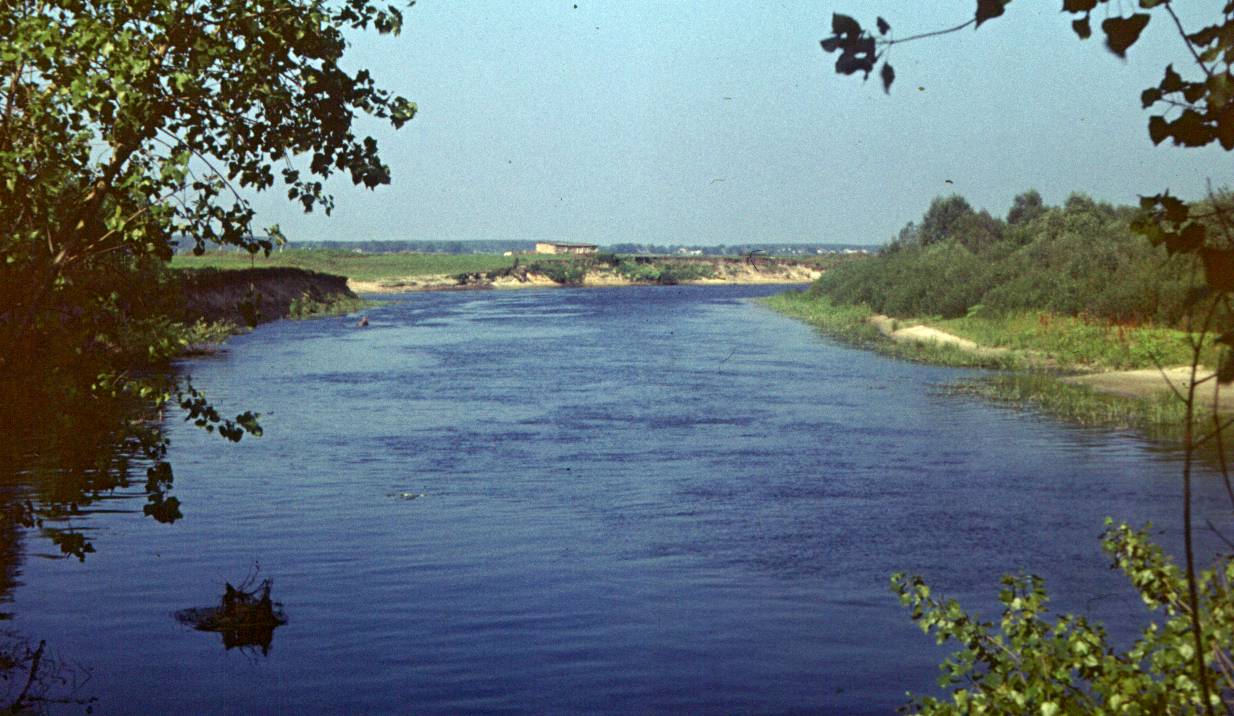 281.JPG