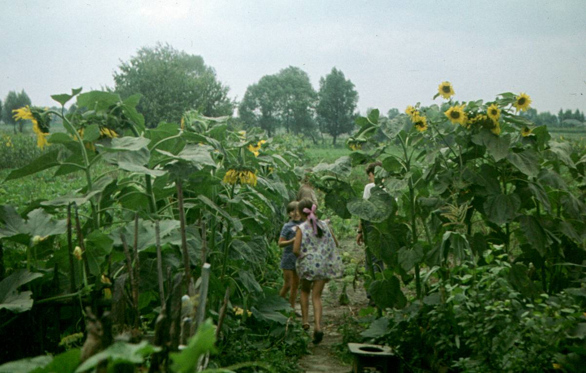 287.JPG