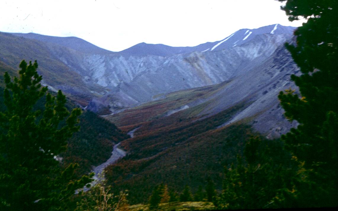 308.JPG