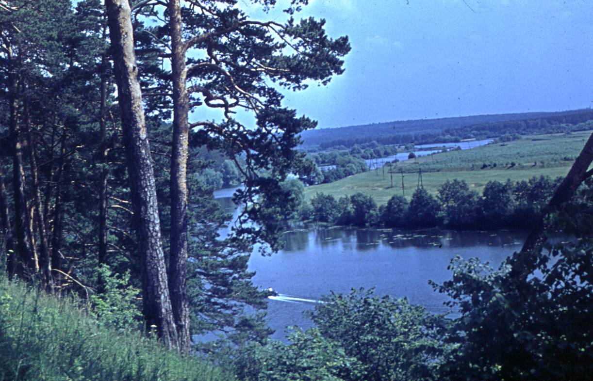 309.JPG