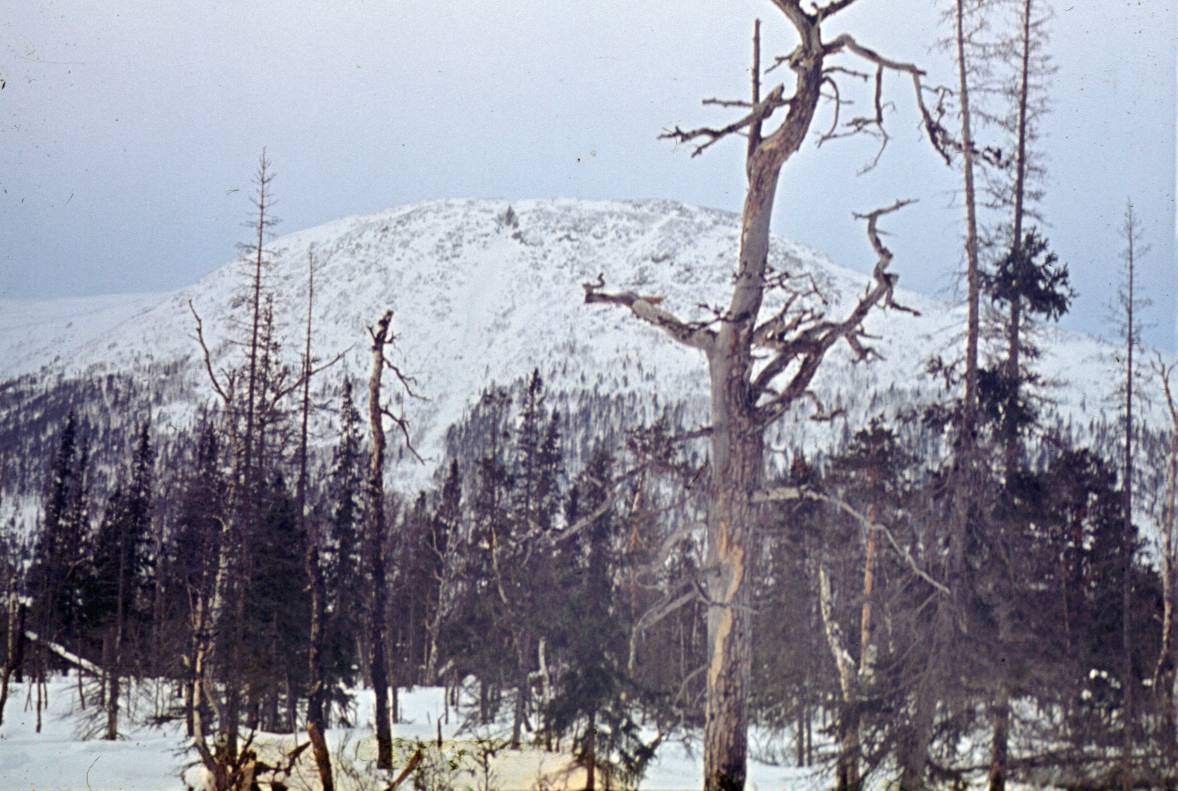 019.JPG