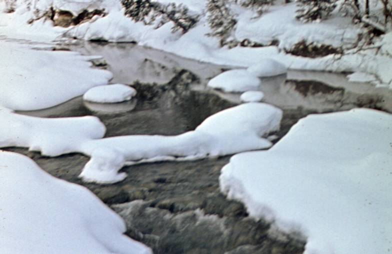 024a.JPG