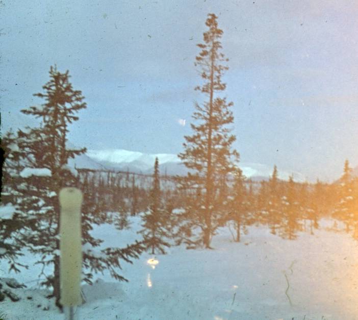 082.JPG