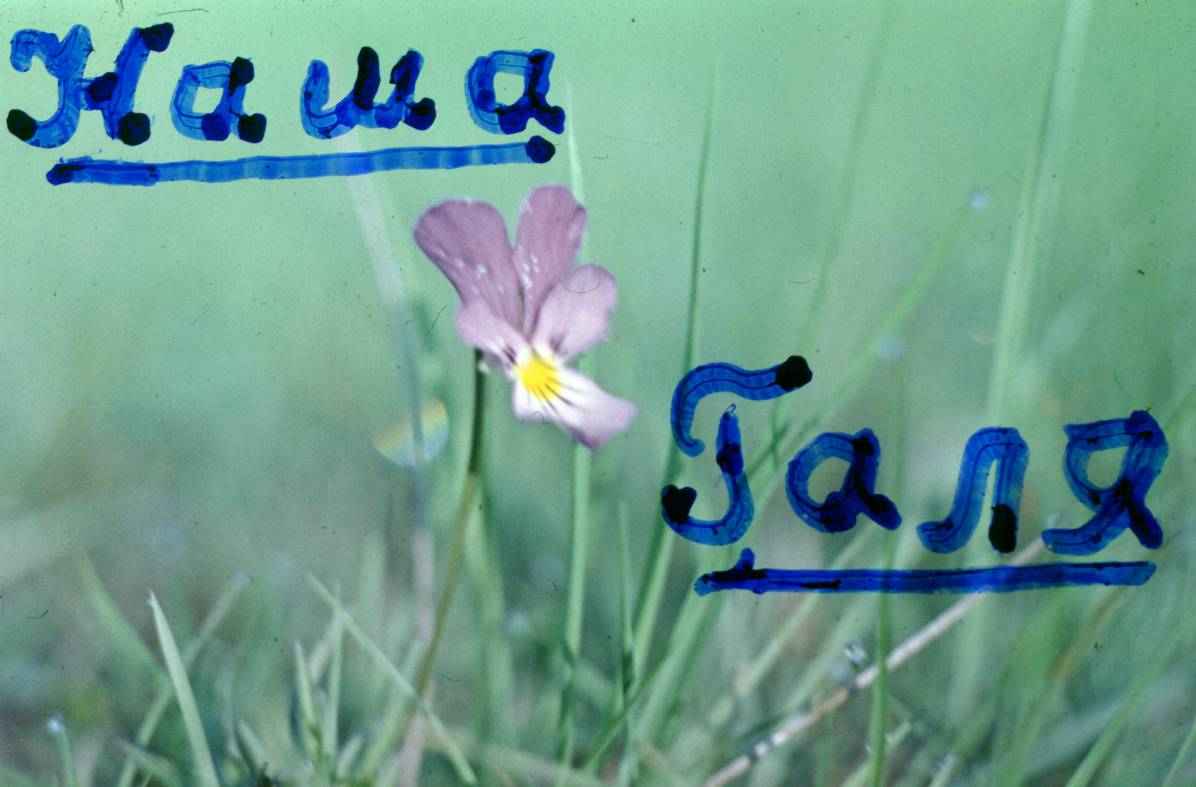 001.JPG