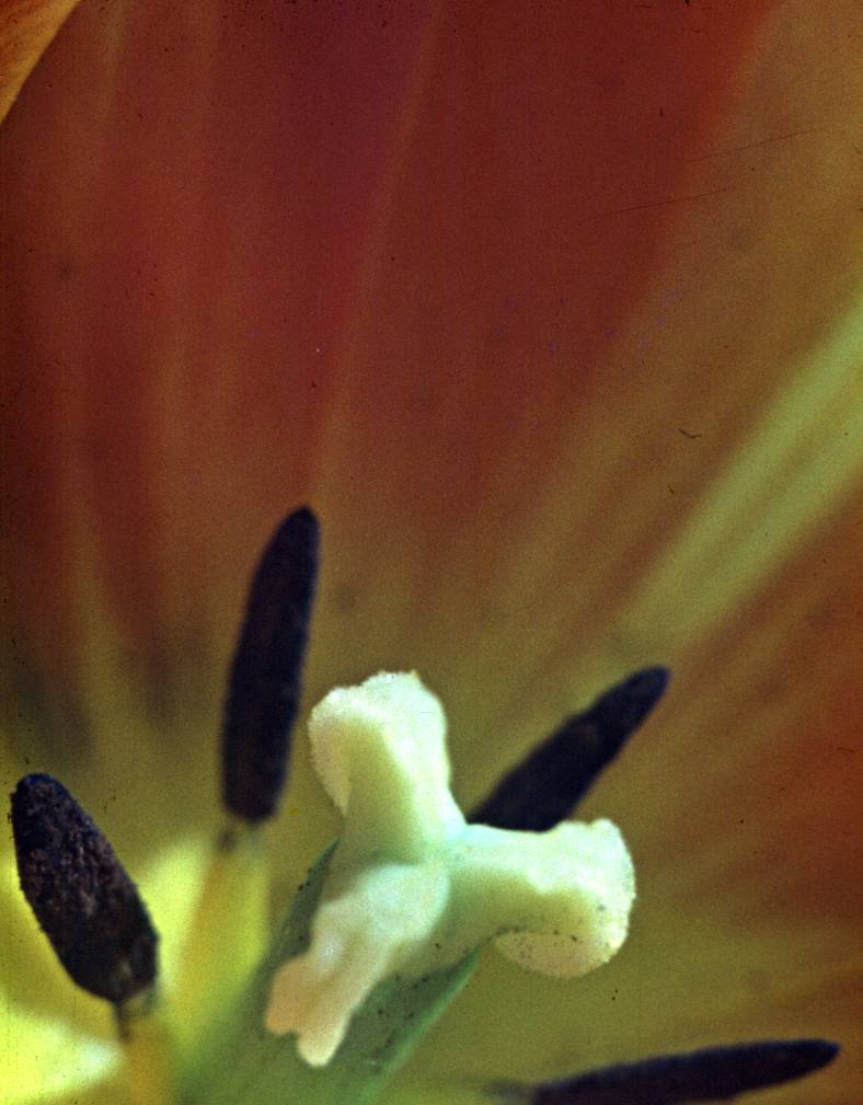 004.JPG