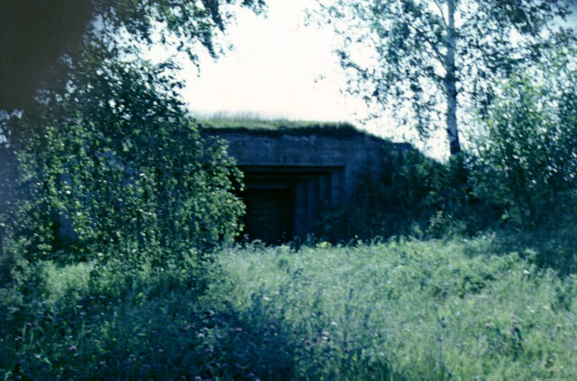 161.JPG