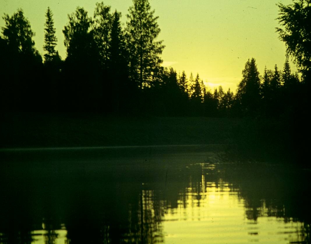 001.JPG