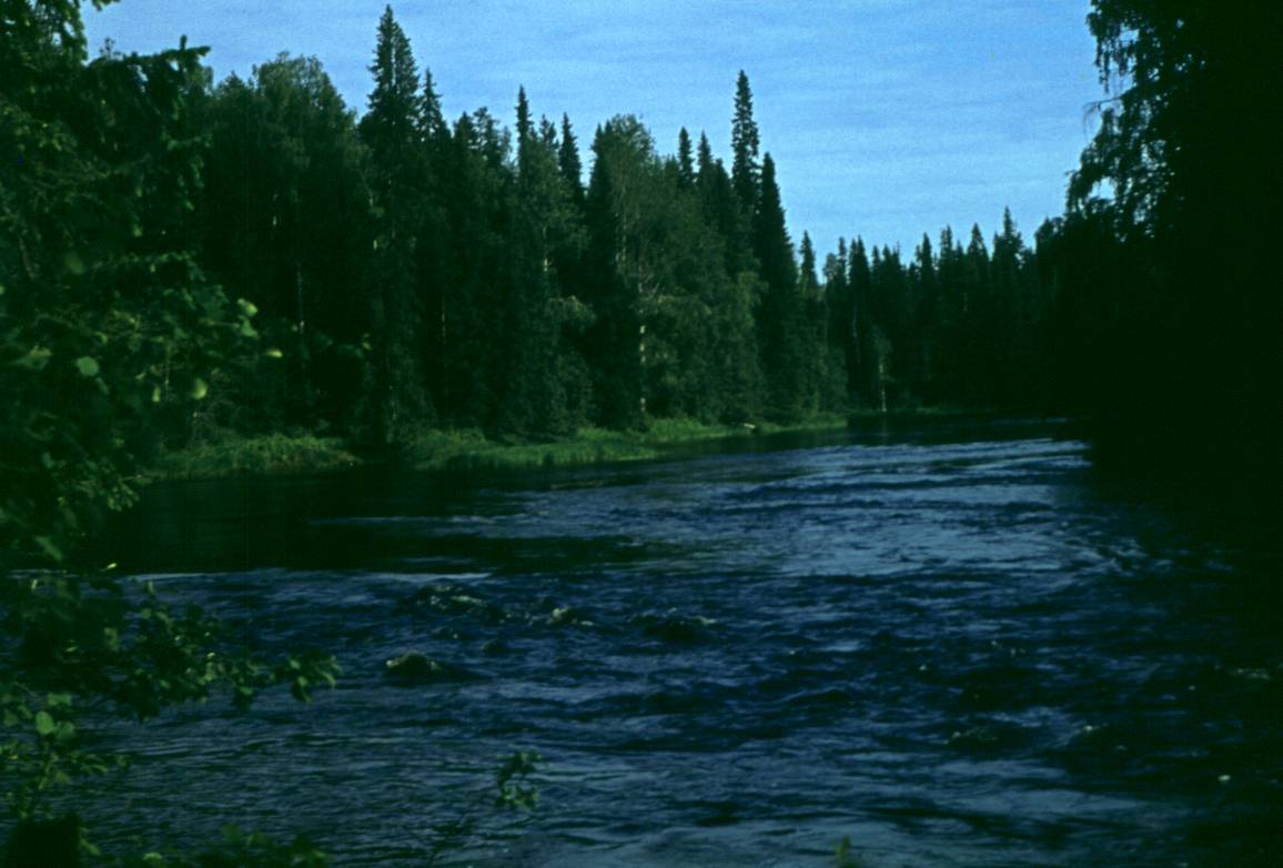 114.JPG