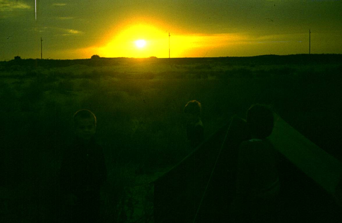 031.JPG