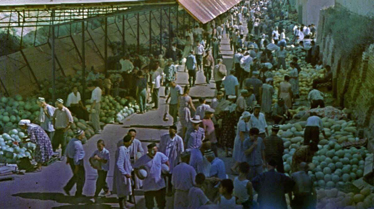 006.JPG
