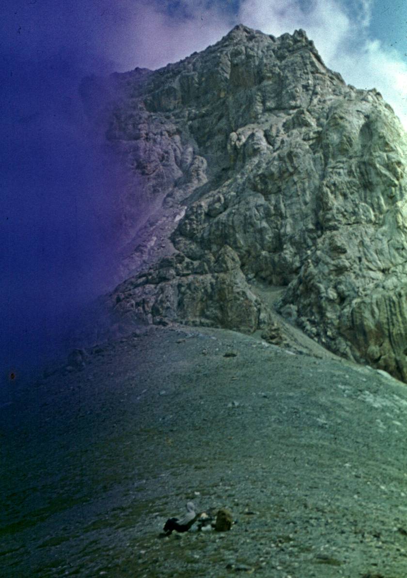 050.JPG