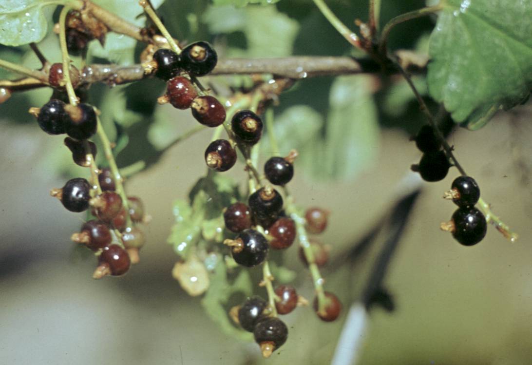 120.JPG