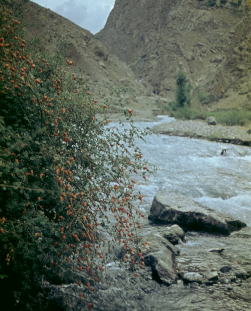 133.JPG