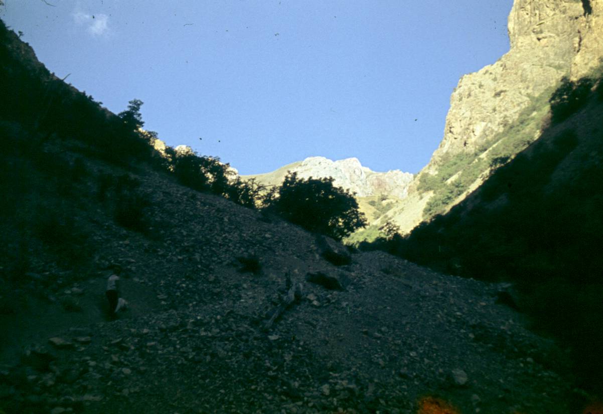 139.JPG