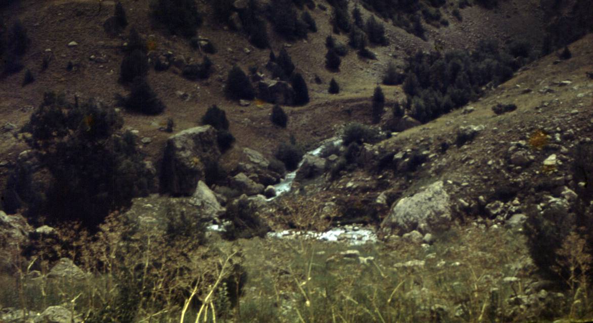 177.JPG