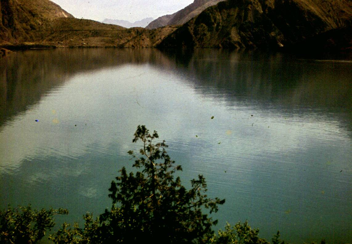 194.JPG