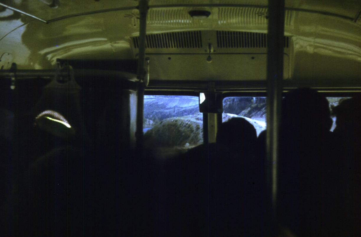 247.JPG