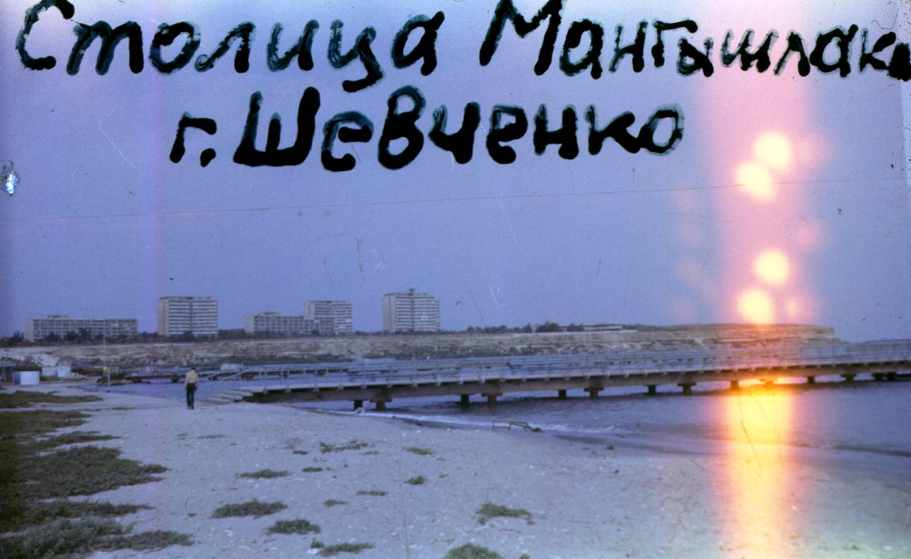 011.JPG