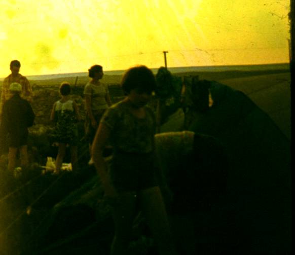032.JPG