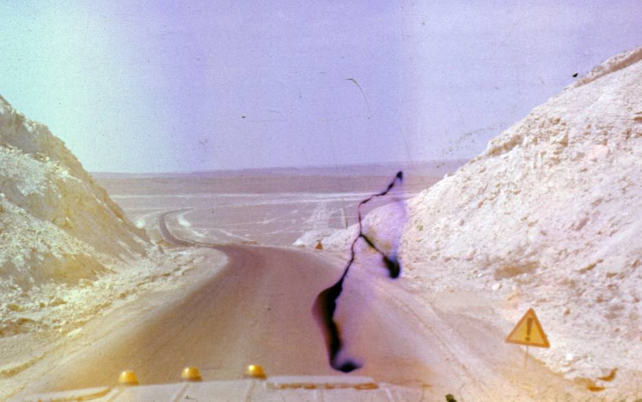 037.JPG