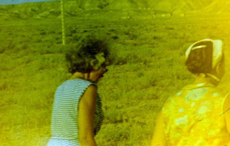 053.JPG