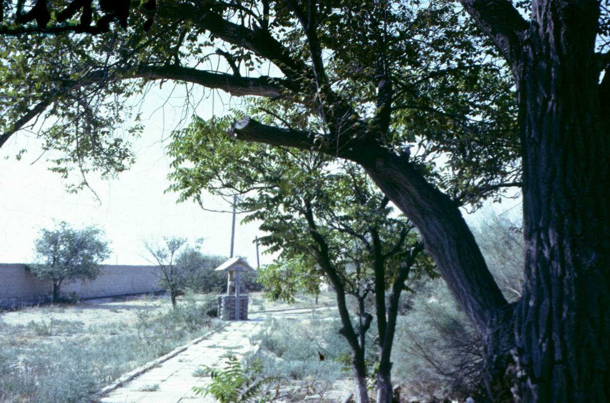 107.JPG