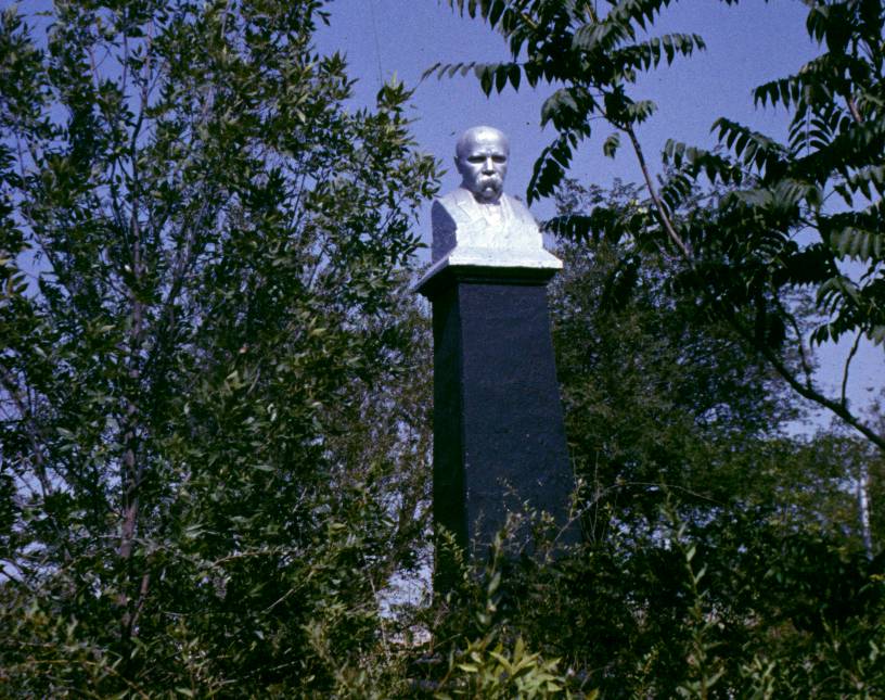 111.JPG