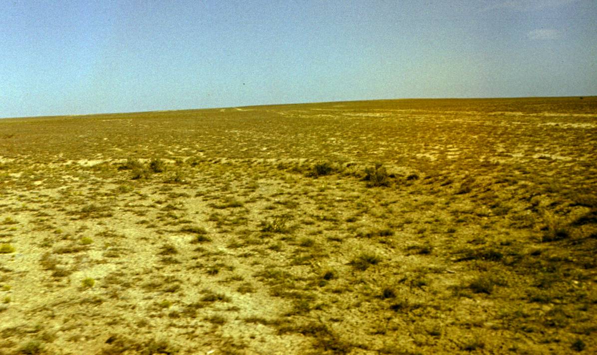 146.JPG