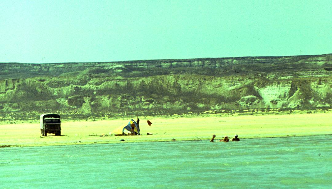 185.JPG