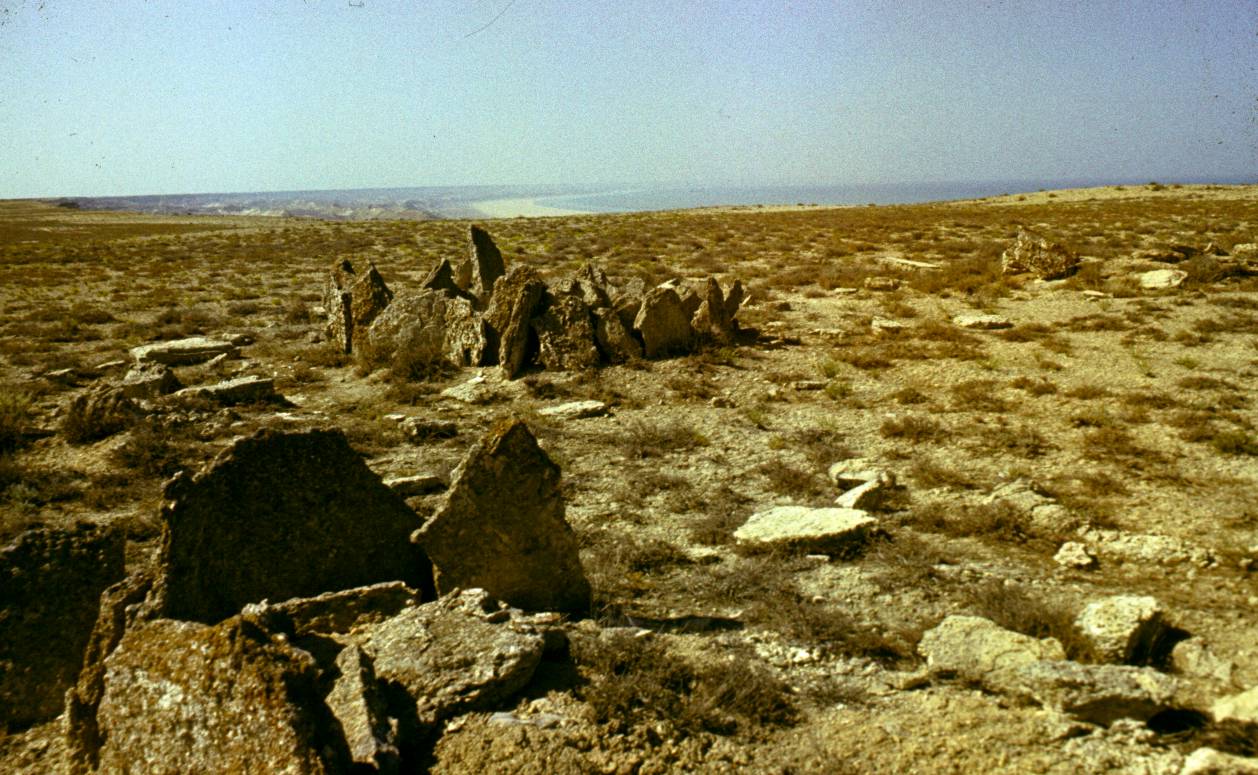 193.JPG