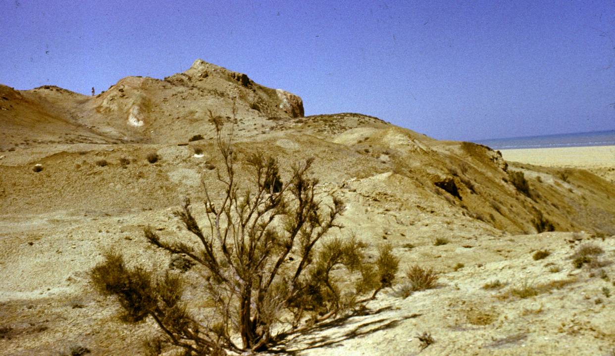 204.JPG