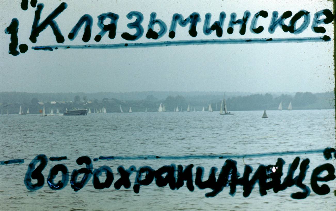 005.JPG