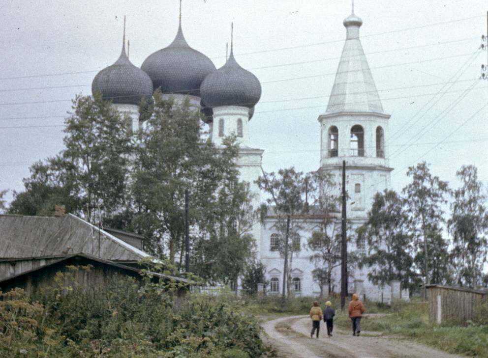 176.jpg