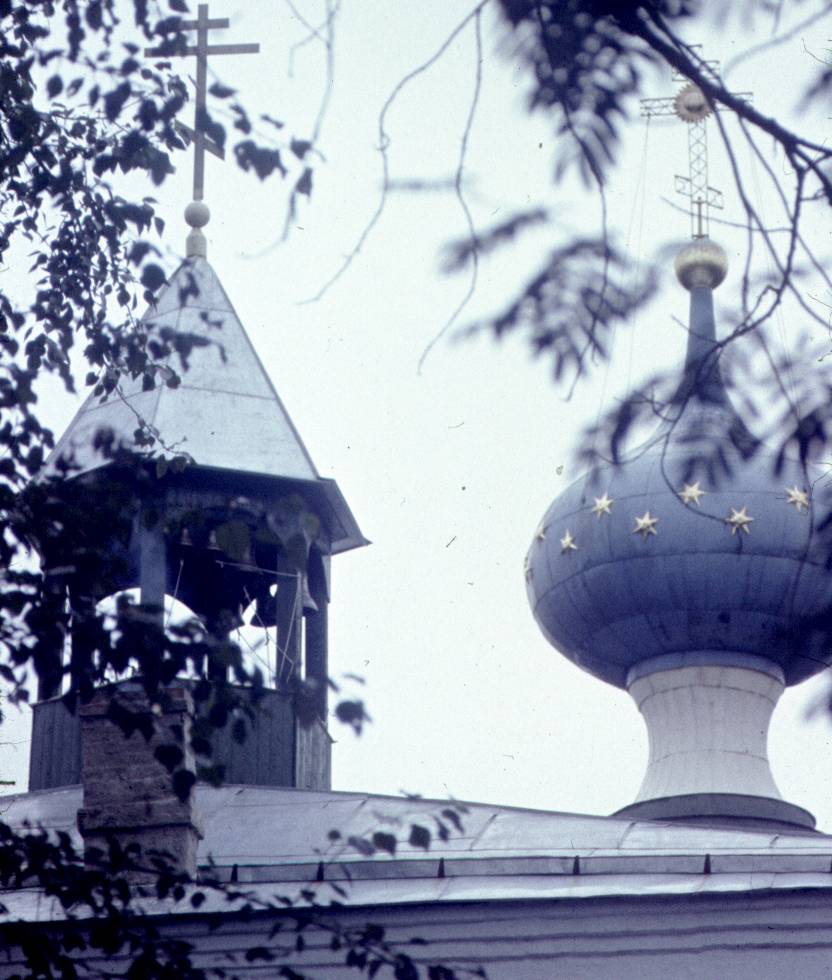 206.jpg