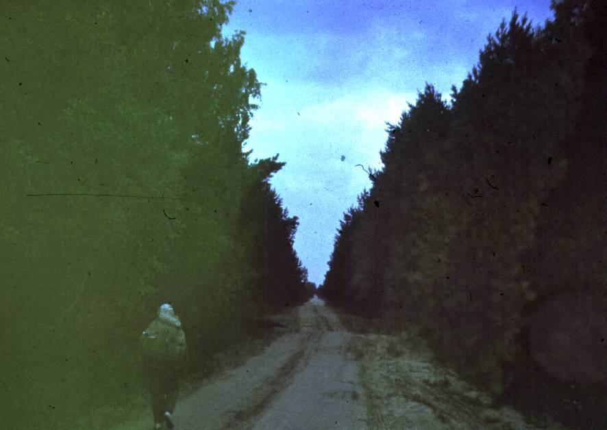 107.jpg