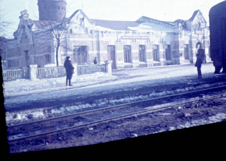 111.jpg