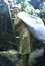 018-2.jpg