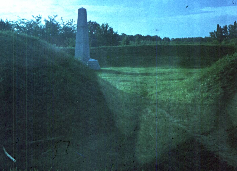 048.jpg