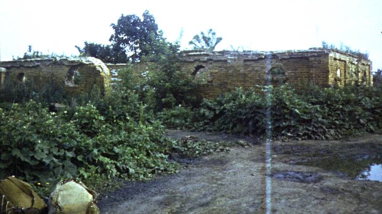 165-1.jpg