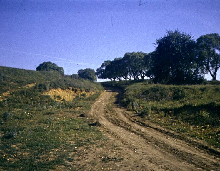023.jpg