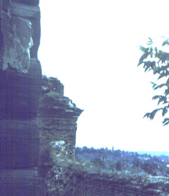 040-2.jpg