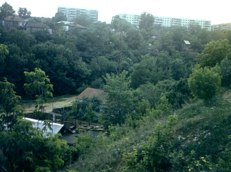 118.jpg